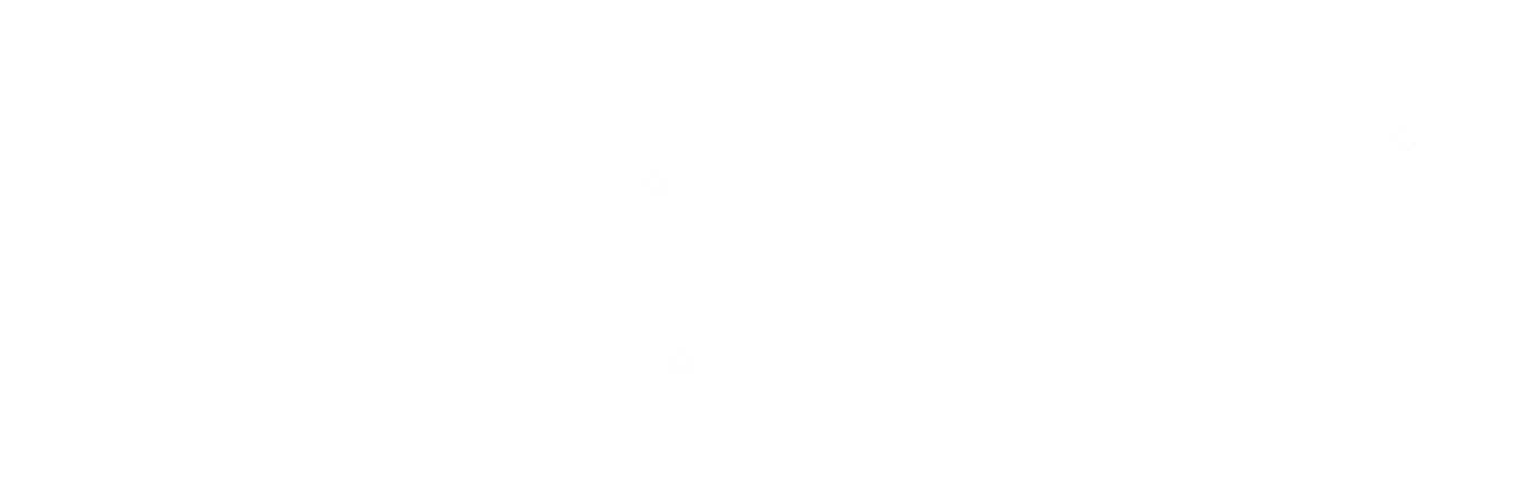 Valkyrie Verdict